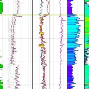 Petrophysical Analysis in Petrel